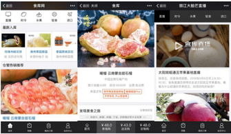 杭州四喜托管可信嗎？事實說話 食庫網農產品基地加工與品牌營銷的領航者