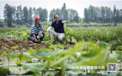 臨空港 食用農產品初加工產業蓬勃發展，打造鄉村振興新引擎
